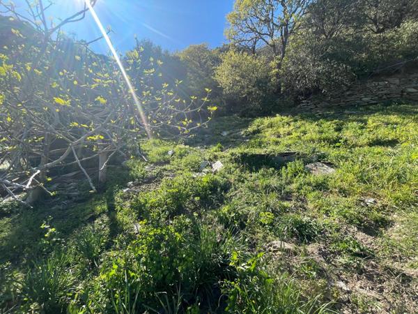 Rogliano (20247) Rare à la Vente : Ensemble Immobilier de Charme – Rogliano