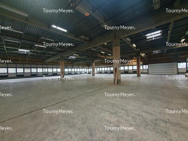 ENTREPOT BUREAUX ATELIER A LOUER - CANEJAN