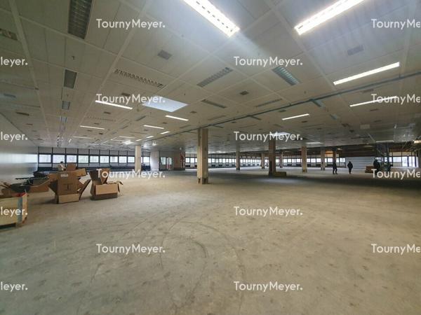 ENTREPOT BUREAUX ATELIER A LOUER - CANEJAN