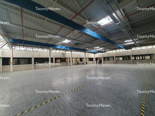 ENTREPOT BUREAUX ATELIER A LOUER - CANEJAN
