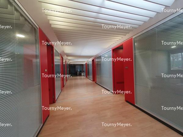 ENTREPOT BUREAUX ATELIER A LOUER - CANEJAN