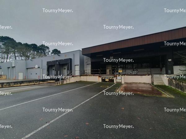 ENTREPOT BUREAUX ATELIER A LOUER - CANEJAN