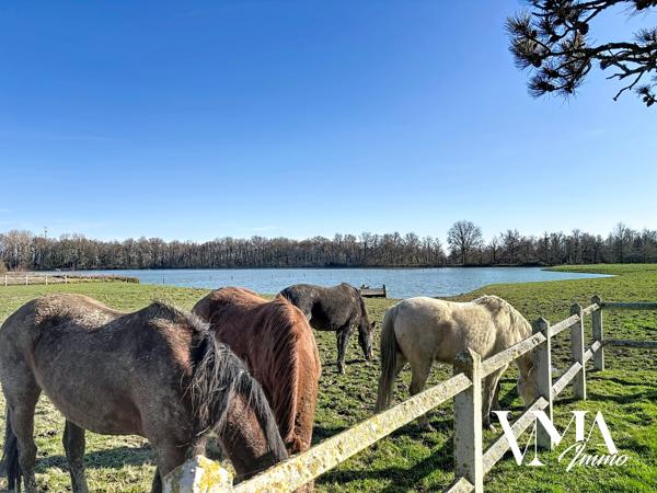 Domaine d’exception de 35 hectares avec étang – Propriété de caractère de 500 m² – Dombes La Dombes comme vous l'avez toujours rêvée… Détails des diagnostics énergétiques