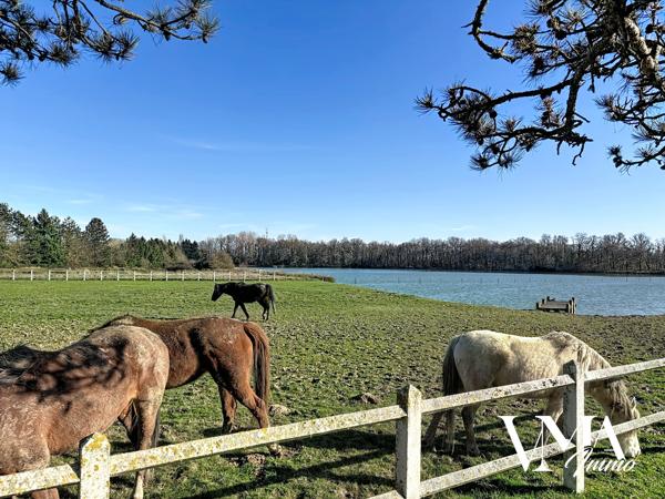 Domaine d’exception de 35 hectares avec étang – Propriété de caractère de 500 m² – Dombes La Dombes comme vous l'avez toujours rêvée… Détails des diagnostics énergétiques