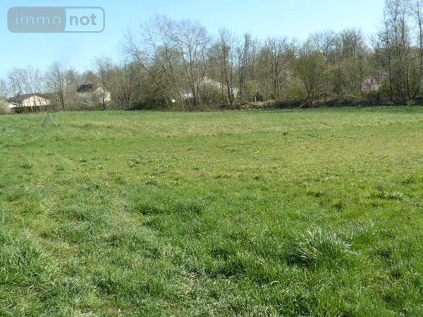 Terrain à Batir à vendre à Rambervillers dans les Vosges (88700), ref : 2225