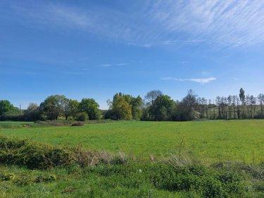 Terrain de loisirs - Bois - Etang à vendre à Cossé-le-Vivien en Mayenne (53230), ref : 53032-1091