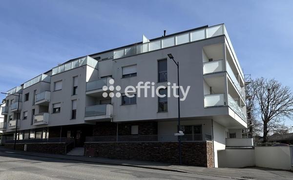 Appartement 2 pièces - 45 m² Exclusivité efficity