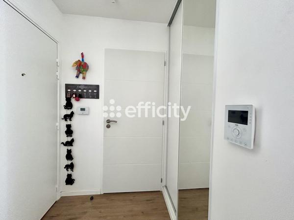 Appartement 2 pièces - 45 m² Exclusivité efficity