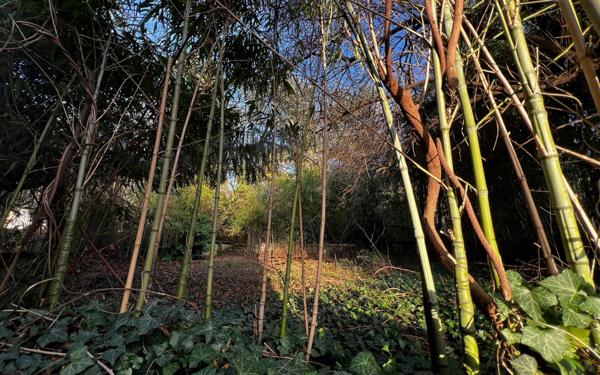 Maison à vendre    7 pièces • 230 m2 Francheville