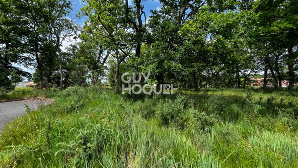 Terrain Aureilhan 1040 m2