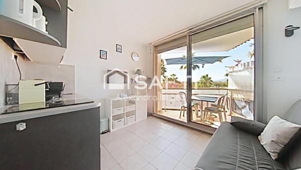 Front de mer – Studio cabine rénové avec vue mer, terrasse, piscine et accès direct à la plage