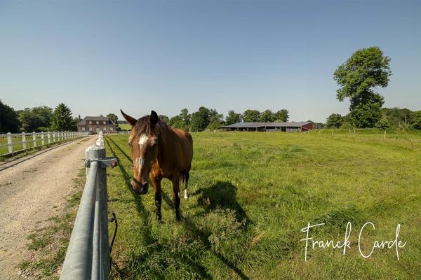 Propriété équestre proche de LUNERAY
