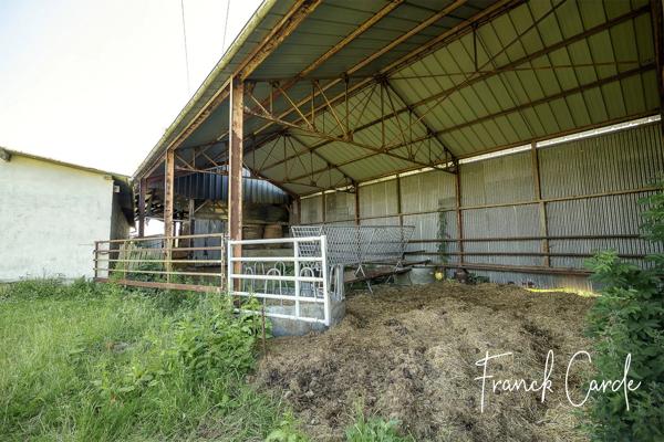Propriété équestre proche de LUNERAY