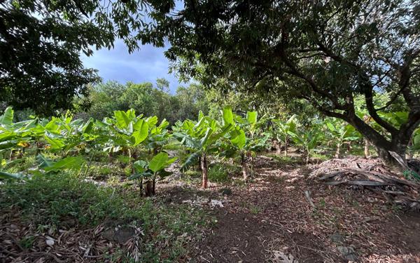 Terrain à vendre    Saint-Pierre