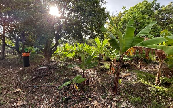 Terrain à vendre    Saint-Pierre