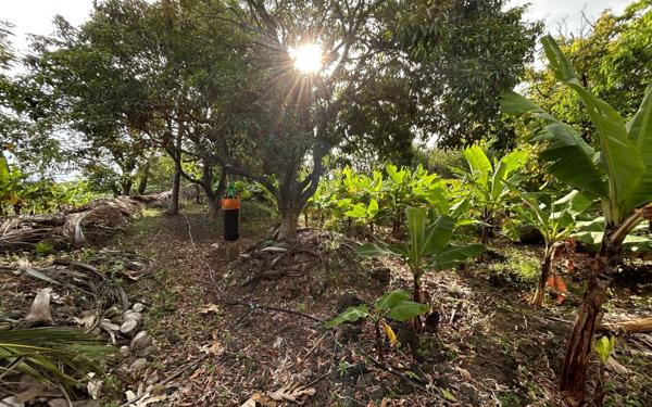 Terrain à vendre    Saint-Pierre