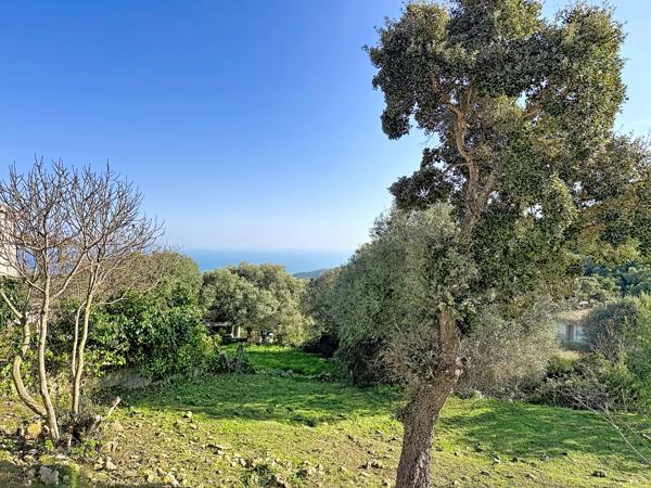 Sari-Solenzara (20145) Maison T2 – Vue mer depuis séjour – Plein sud – Sari-Solenzara