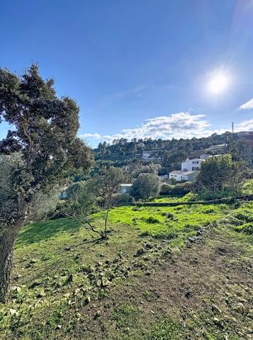Sari-Solenzara (20145) Maison T2 – Vue mer depuis séjour – Plein sud – Sari-Solenzara