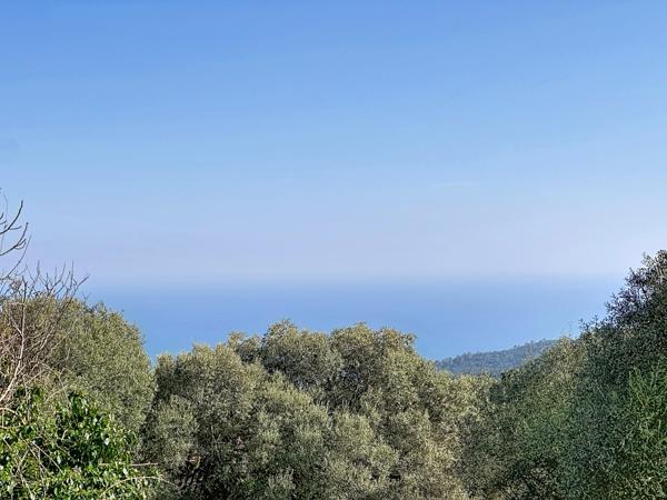 Sari-Solenzara (20145) Maison T2 – Vue mer depuis séjour – Plein sud – Sari-Solenzara