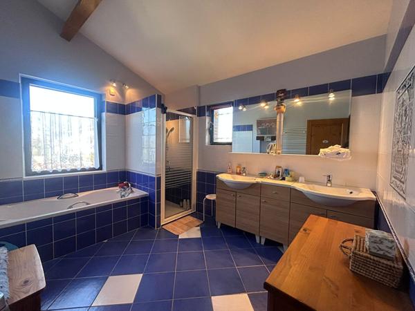 Maison Gaillac 6 pièce(s) 218 m²