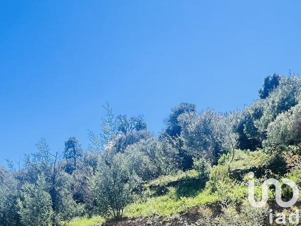 Maison 5 pièces de 178 m² à Port-Vendres (66660)