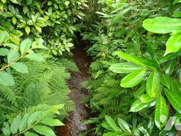 Maison à vendre à LIGNOL (56160), Morbihan (56), située dans le centre bourg, proche des commer...