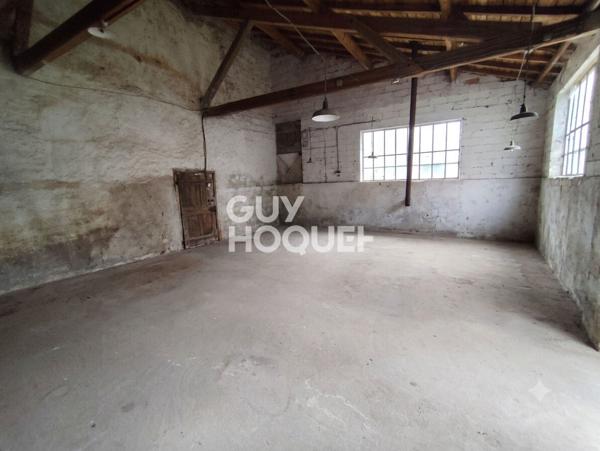 Immeuble Saint Germain Laval 350 m2 avec terrain et garage