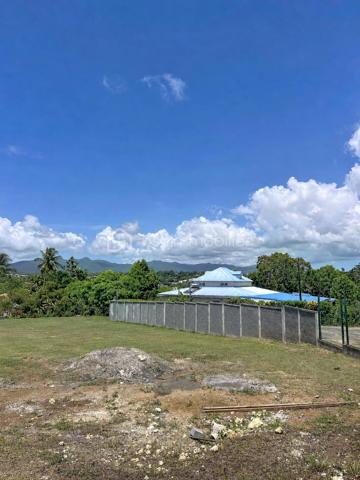 Terrain constructible de 923 m², viabilisé et au calme

Baisse de prix – Une belle opportunité à saisir !

Vous recherchez un terrain spacieux pour construire votre future maison ou réaliser un projet immobilier ? Découvrez cette parcelle de 923 m², quasiment plate, située au fond d’une impasse dans un environnement paisible et résidentiel de Baie-Mahault.

Implanté sur la section cadastrale de Montier, le terrain bénéficie d’une situation idéale : face à la montagne, à quelques minutes de la RN1 et des principaux axes, tout en restant en retrait de l’activité de Jarry. Vous profitez ainsi d’un cadre calme, entouré de lotissements pavillonnaires récents, avec les commodités rapidement accessibles.

Ses principaux atouts :

Terrain constructible de 923 m², quasiment plat
Terrain viabilisé : accès routier, électricité et deux compteurs d’eau
Zone UDb du PLU
Possibilité de développer environ 185 m² de surface de plancher, sous réserve des règles d’urbanisme en vigueur
Étude de sol déjà réalisée, permettant de sécuriser et de faciliter la préparation du projet
Parcelle entièrement clôturée
Portail de sécurité déjà équipé des câbles nécessaires à sa motorisation
Emplacement en fond d’impasse, offrant calme, intimité et faible circulation

Grâce à sa superficie et à sa configuration, ce terrain se prête parfaitement à la construction d’une belle villa familiale. Un projet de deux logements peut également être étudié, sous réserve de l’obtention des autorisations d’urbanisme nécessaires.

Un terrain réunissant emplacement, tranquillité et facilité de construction, désormais proposé à un prix plus attractif.

Contactez-moi pour obtenir davantage d’informations, consulter les documents disponibles ou organiser une visite.