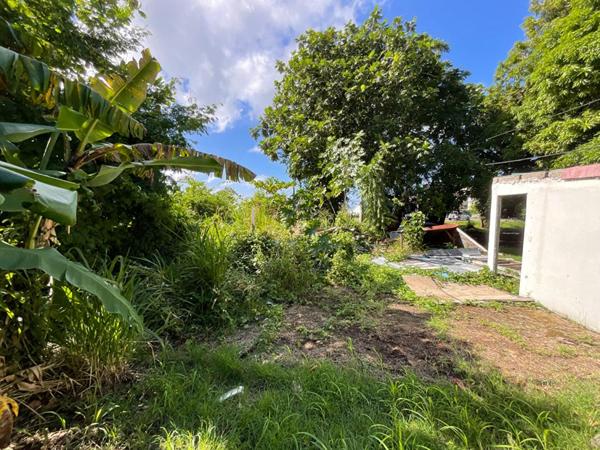 Terrain Basse Terre 424 m2