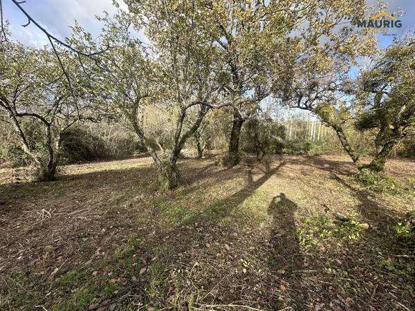 Maison en pierre avec grange et terrain 8754m²