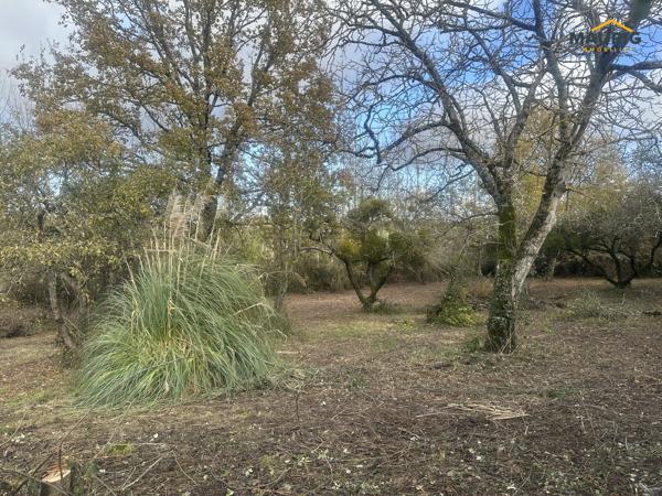 Maison en pierre avec grange et terrain 8754m²