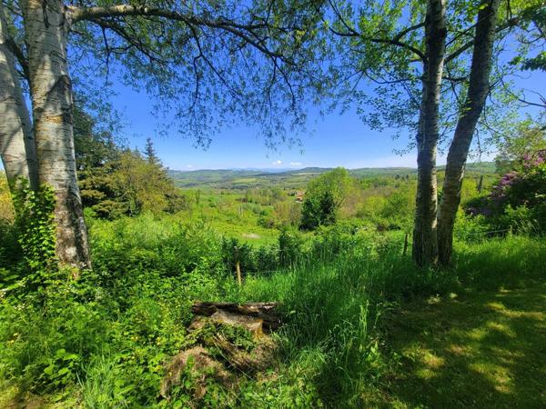 Beau terrain de loisir avec cabanon + caravane – 1 690 m² – calme