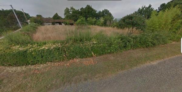 Terrain paisible de 4 591 m² au cœur de la nature