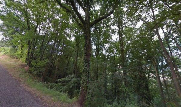 Terrain paisible de 4 591 m² au cœur de la nature