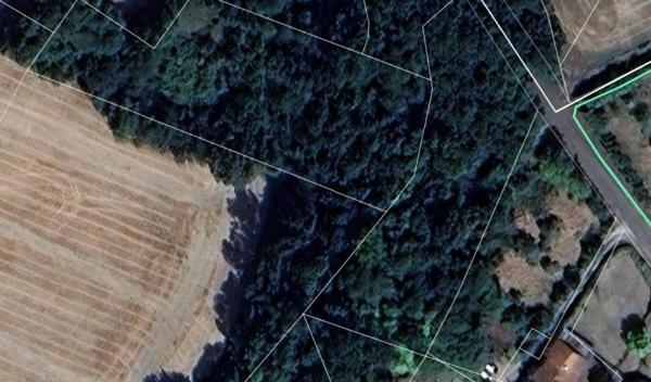 Terrain paisible de 4 591 m² au cœur de la nature