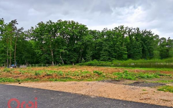 Terrain à vendre    Selles-sur-Cher