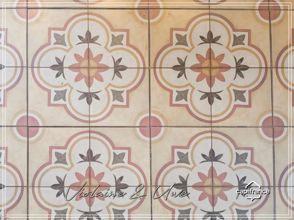 Mas en pierre & vignoble AOC – Domaine rare avec potentiel œnotouristique