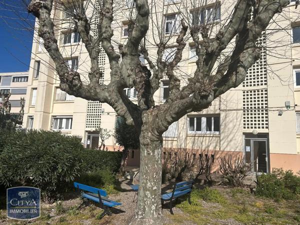 Appartement à louer 3 pièces 49.46m² Saint-Raphaël (83700)