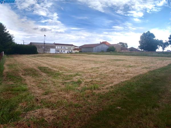 Terrain constructible de 1153m2