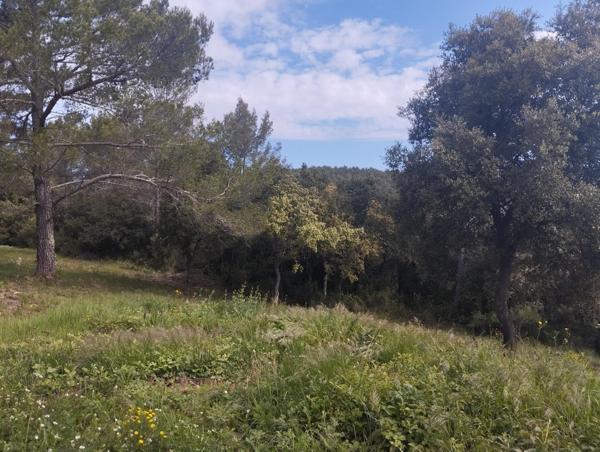 Terrain naturel de 15970m2