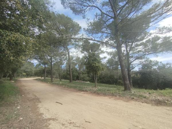 Terrain naturel de 15970m2