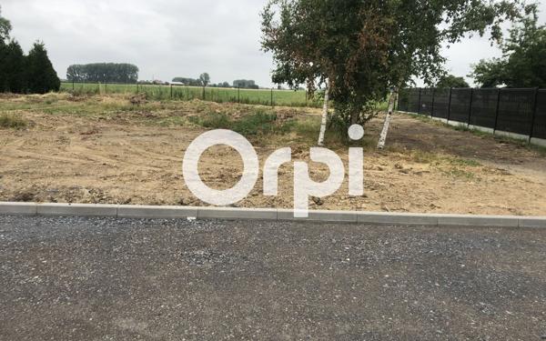 Terrain à vendre    Faumont