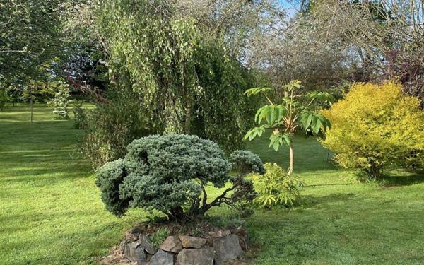 Maison à vendre    27 pièces •  Plestin-les-Grèves