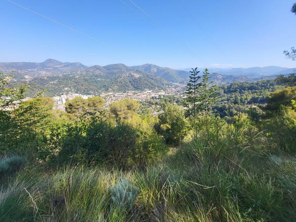 Terrain - 16415 m² Exclusivité efficity