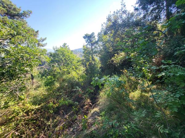 Terrain - 16415 m² Exclusivité efficity