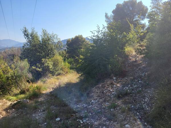 Terrain - 16415 m² Exclusivité efficity