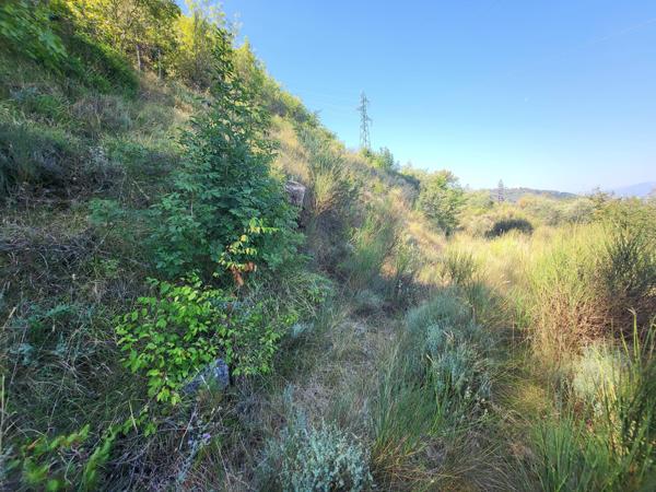 Terrain - 16415 m² Exclusivité efficity