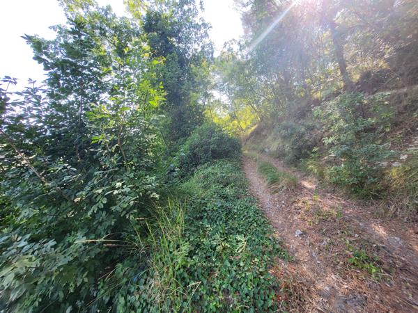 Terrain - 16415 m² Exclusivité efficity