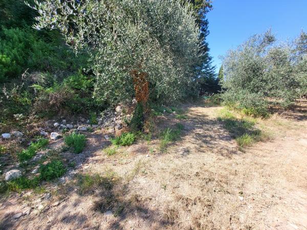 Terrain - 16415 m² Exclusivité efficity