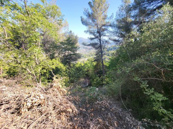 Terrain - 16415 m² Exclusivité efficity